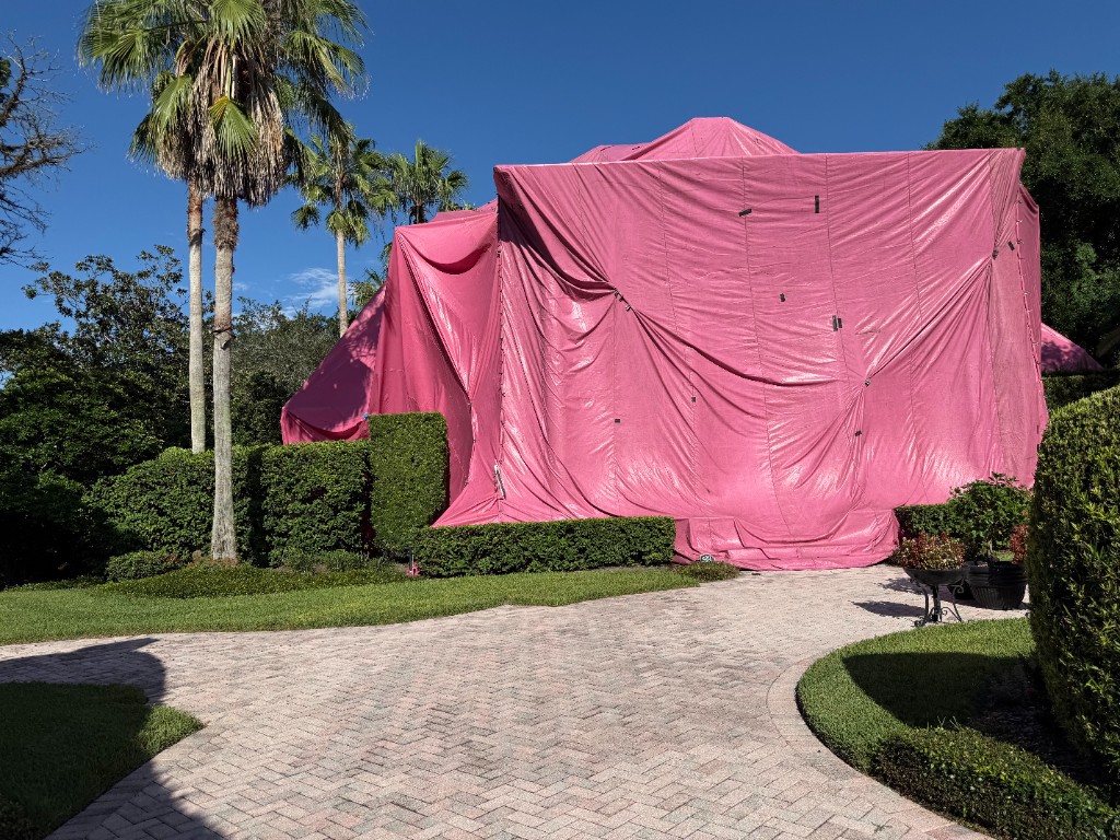 Pink fumigation tent covering a house along a brick driveway and trimmed hedges